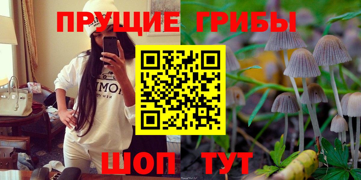Бор  Псилоцибиновые грибы MAGIC MUSHROOMS  Вход с VPN 